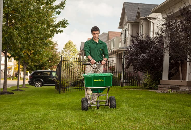 Lawn Care Coupon Knoxville, TN